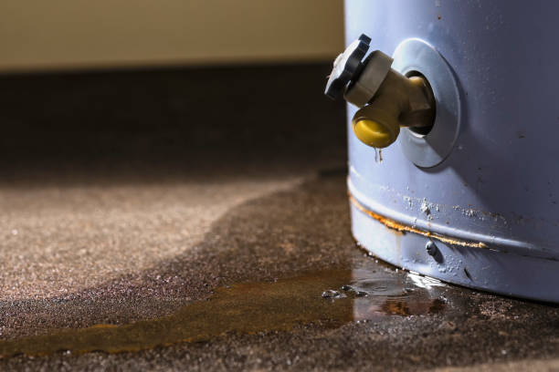 Best Mold removal after water damage  in Kennedy, CA