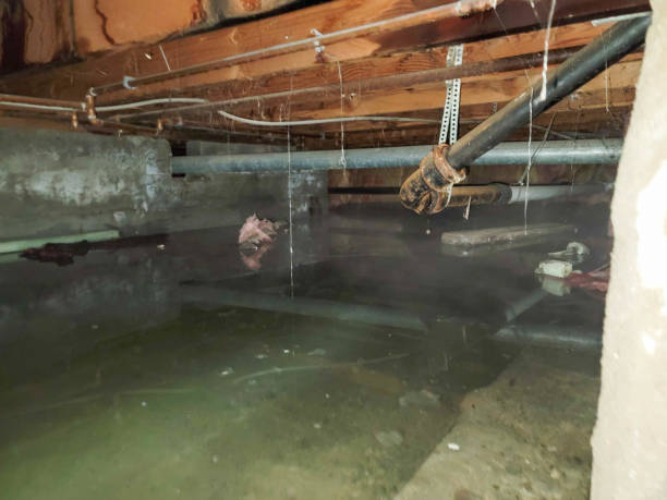 Best Water damage contractors near me  in Kennedy, CA