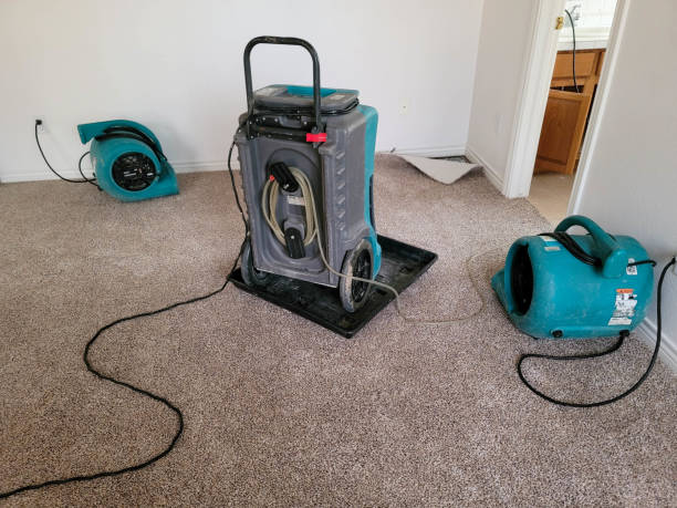 Best Basement water damage restoration  in Kennedy, CA