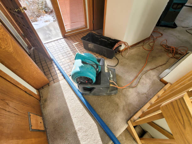 Water damage restoration mold remediation in Kennedy, CA