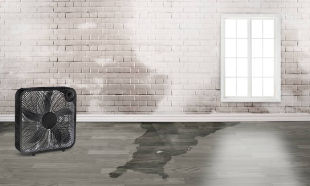 Best Water damage restoration insurance claims  in Kennedy, CA