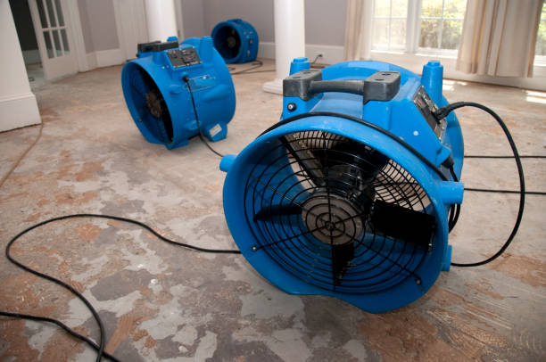 Best Residential water damage restoration  in Kennedy, CA