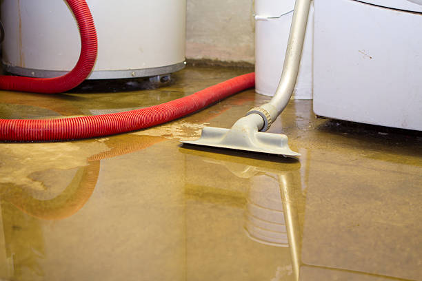 Carpet water damage restoration in Kennedy, CA