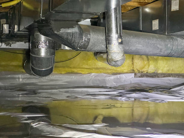 Best Local water damage restoration  in Kennedy, CA