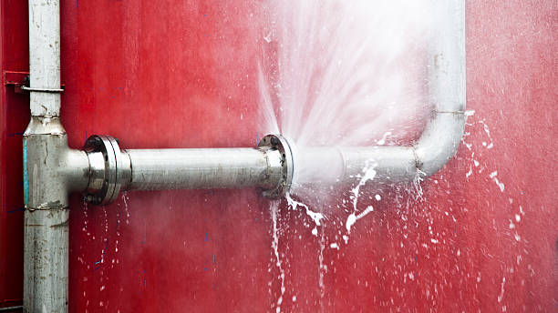 Best Professional water damage repair  in Kennedy, CA